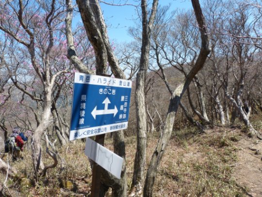 画像26